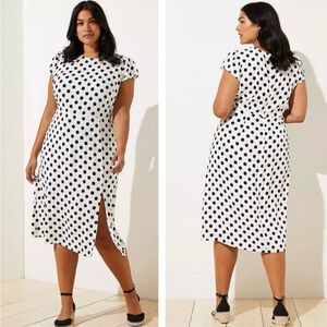 Anne Taylor LOFT PLUS Polka Dot Dress
